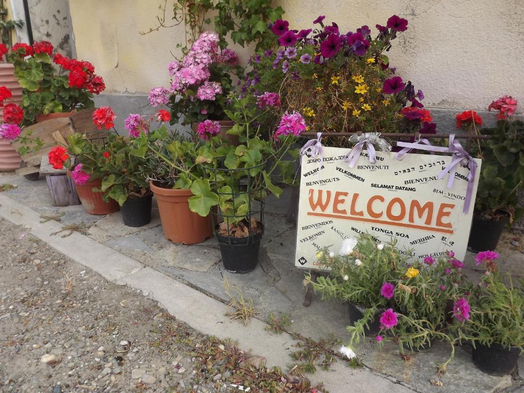 Agriturismo Cascina Nuova Villa Valenza Esterno foto